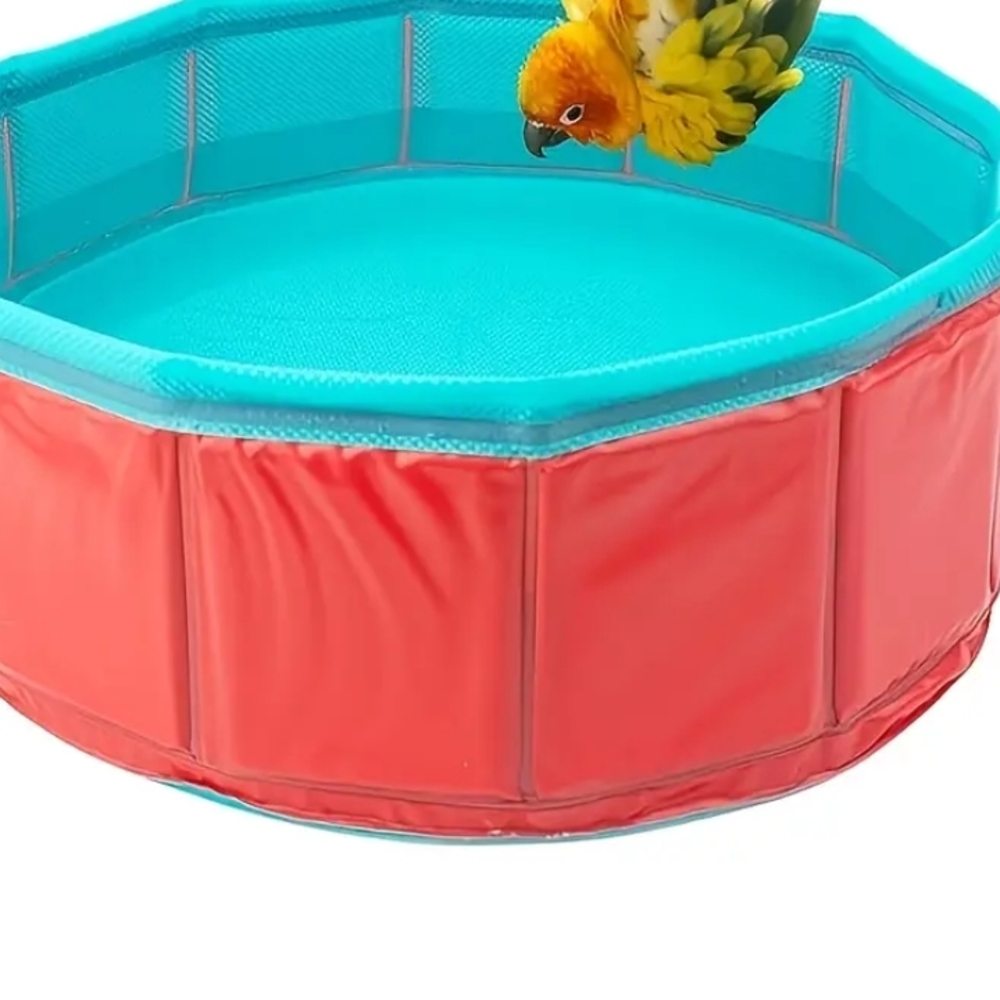 Bird Swimming Pool - Picture 5 of 6
